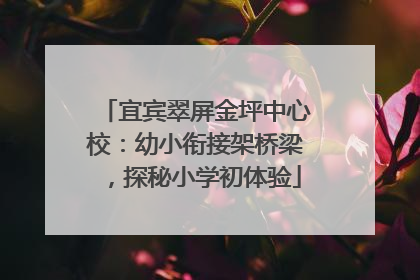 宜宾翠屏金坪中心校：幼小衔接架桥梁，探秘小学初体验