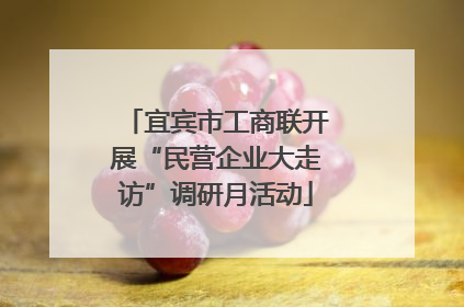 宜宾市工商联开展“民营企业大走访”调研月活动