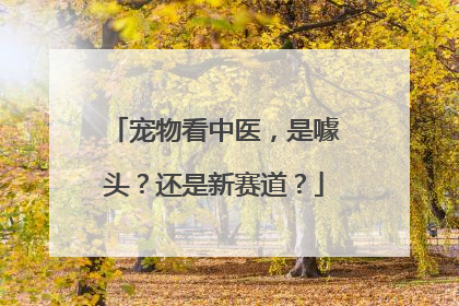 宠物看中医，是噱头？还是新赛道？