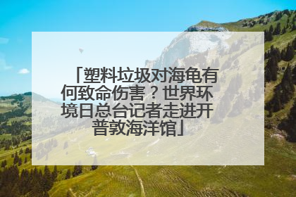 塑料垃圾对海龟有何致命伤害？世界环境日总台记者走进开普敦海洋馆