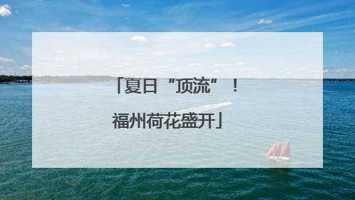 夏日“顶流”！福州荷花盛开