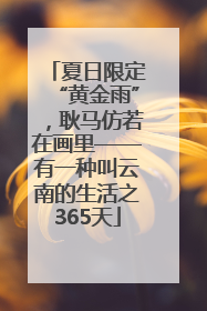 夏日限定“黄金雨”，耿马仿若在画里——有一种叫云南的生活之365天