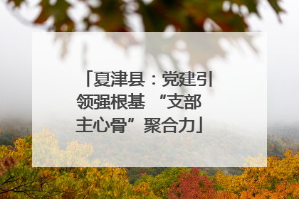 夏津县：党建引领强根基 “支部主心骨”聚合力