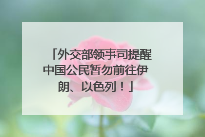 外交部领事司提醒中国公民暂勿前往伊朗、以色列！