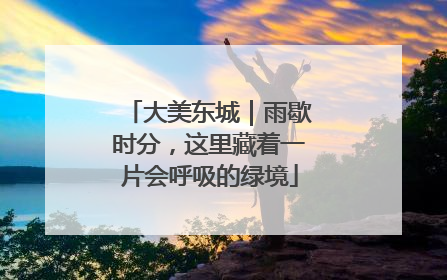 大美东城｜雨歇时分，这里藏着一片会呼吸的绿境