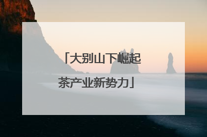大别山下崛起茶产业新势力