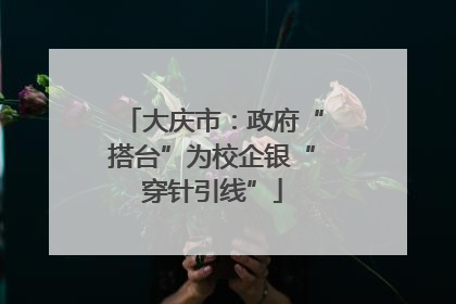 大庆市：政府“搭台”为校企银“穿针引线”