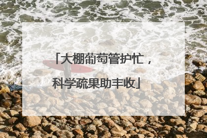 大棚葡萄管护忙，科学疏果助丰收