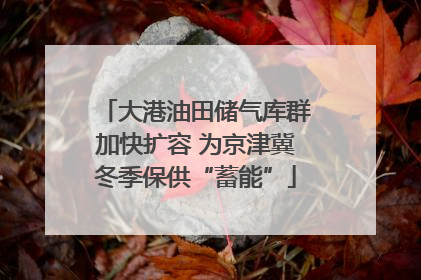 大港油田储气库群加快扩容 为京津冀冬季保供“蓄能”