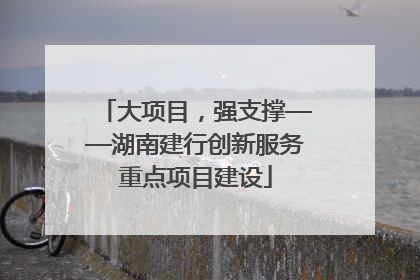 大项目，强支撑——湖南建行创新服务重点项目建设