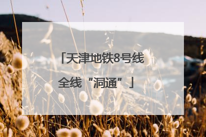 天津地铁8号线全线“洞通”