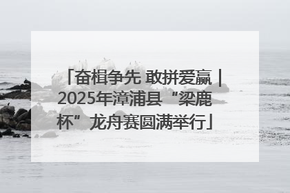 奋楫争先 敢拼爱赢｜2025年漳浦县“梁鹿杯”龙舟赛圆满举行