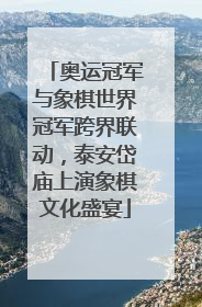 奥运冠军与象棋世界冠军跨界联动，泰安岱庙上演象棋文化盛宴
