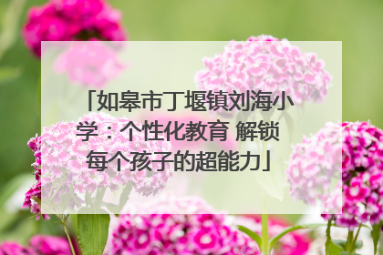 如皋市丁堰镇刘海小学：个性化教育 解锁每个孩子的超能力