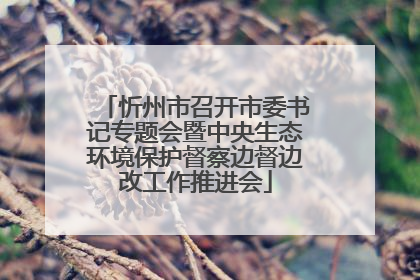 忻州市召开市委书记专题会暨中央生态环境保护督察边督边改工作推进会
