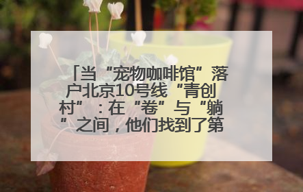 当“宠物咖啡馆”落户北京10号线“青创村”：在“卷”与“躺”之间，他们找到了第三种生活公式