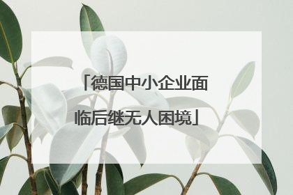 德国中小企业面临后继无人困境