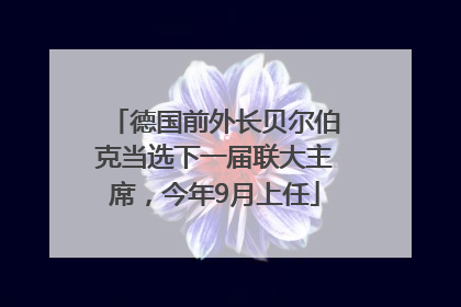 德国前外长贝尔伯克当选下一届联大主席，今年9月上任