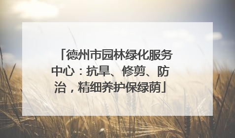 德州市园林绿化服务中心：抗旱、修剪、防治，精细养护保绿荫