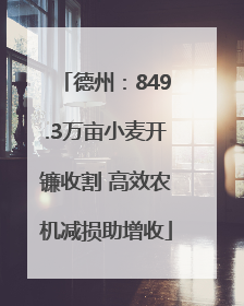 德州：849.3万亩小麦开镰收割 高效农机减损助增收