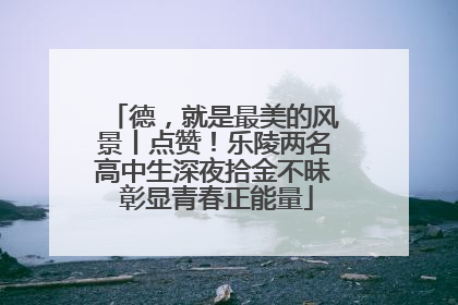 德，就是最美的风景丨点赞！乐陵两名高中生深夜拾金不昧 彰显青春正能量