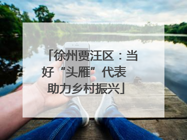 徐州贾汪区：当好“头雁”代表 助力乡村振兴