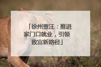 徐州贾汪：推进家门口就业，引领致富新路径
