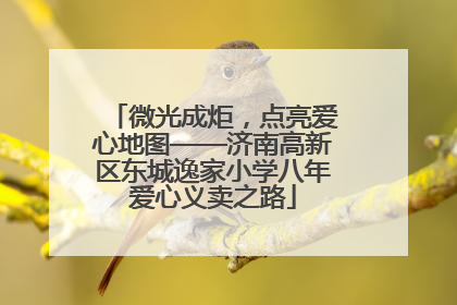 微光成炬，点亮爱心地图——济南高新区东城逸家小学八年爱心义卖之路