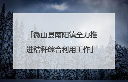 微山县南阳镇全力推进秸秆综合利用工作