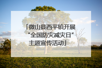 微山县西平镇开展“全国防灾减灾日”主题宣传活动