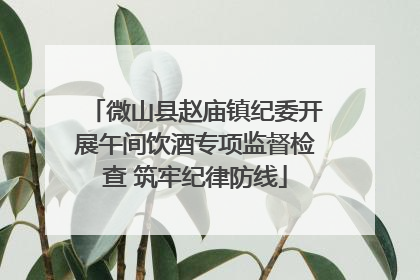 微山县赵庙镇纪委开展午间饮酒专项监督检查 筑牢纪律防线