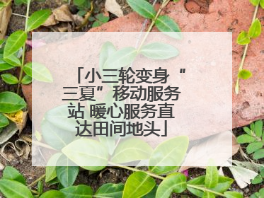 小三轮变身“三夏”移动服务站 暖心服务直达田间地头