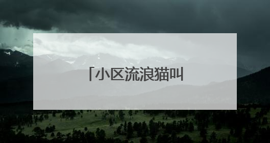 小区流浪猫叫声不断？民情快办出招啦！