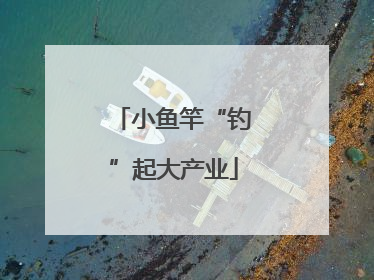 小鱼竿“钓”起大产业