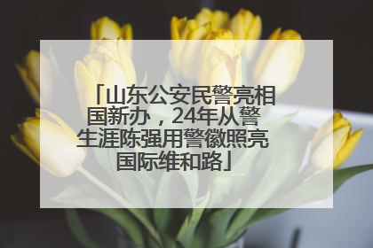 山东公安民警亮相国新办，24年从警生涯陈强用警徽照亮国际维和路