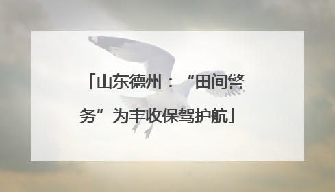 山东德州：“田间警务”为丰收保驾护航