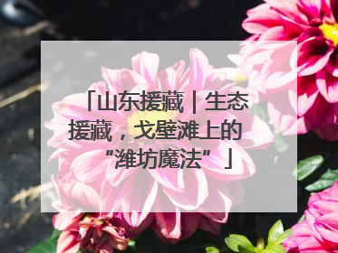 山东援藏｜生态援藏，戈壁滩上的“潍坊魔法”