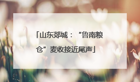 山东郯城：“鲁南粮仓”麦收接近尾声