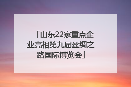 山东22家重点企业亮相第九届丝绸之路国际博览会