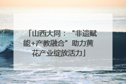 山西大同：“非遗赋能+产教融合”助力黄花产业绽放活力