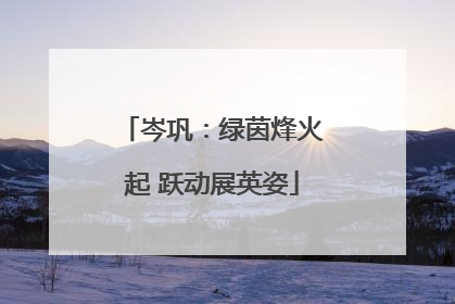 岑巩：绿茵烽火起 跃动展英姿