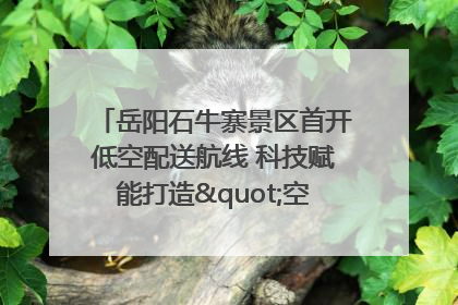 岳阳石牛寨景区首开低空配送航线 科技赋能打造"空中便利店"