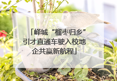 峄城“榴枣归乡”引才直通车驶入校地企共赢新航程