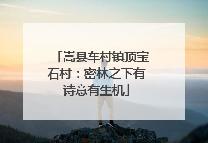 嵩县车村镇顶宝石村：密林之下有诗意有生机
