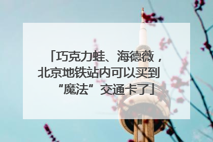 巧克力蛙、海德薇，北京地铁站内可以买到“魔法”交通卡了
