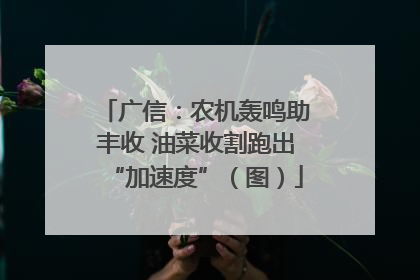 广信：农机轰鸣助丰收 油菜收割跑出“加速度”（图）