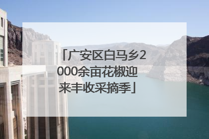 广安区白马乡2000余亩花椒迎来丰收采摘季
