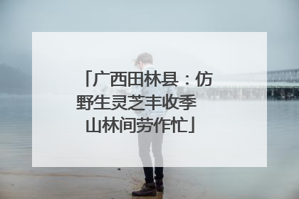 广西田林县：仿野生灵芝丰收季 山林间劳作忙