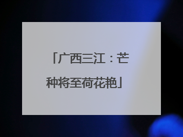 广西三江：芒种将至荷花艳