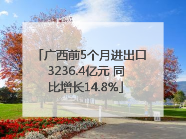 广西前5个月进出口3236.4亿元 同比增长14.8%